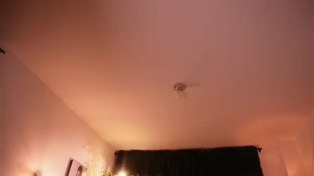 soidai_miiu webcam