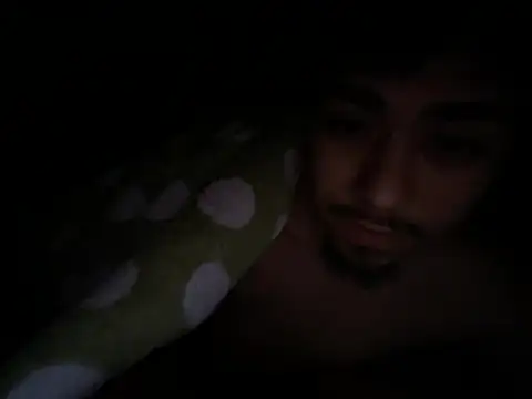 Daddywick webcam