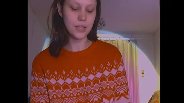 Lunliss webcam