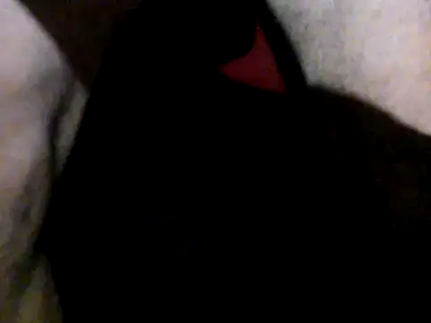 michix11