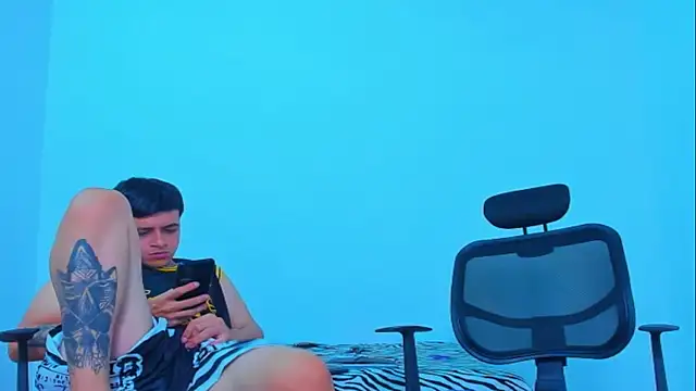 Thomas-Wil webcam