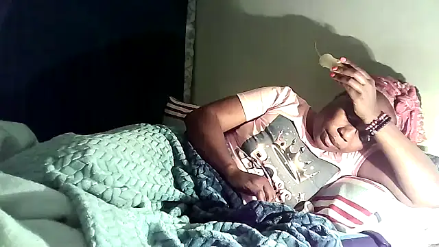 Dutches101 webcam