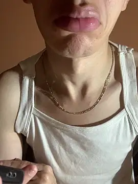 MiroKari2 webcam