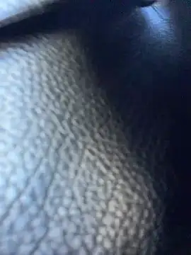 VendiMur