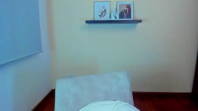 Velourmuse webcam