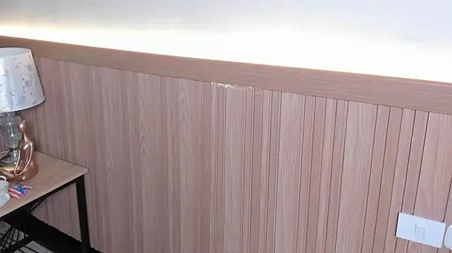 Sara_rhoades webcam