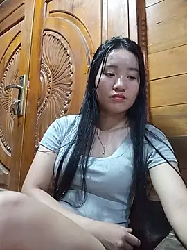 Td3di webcam