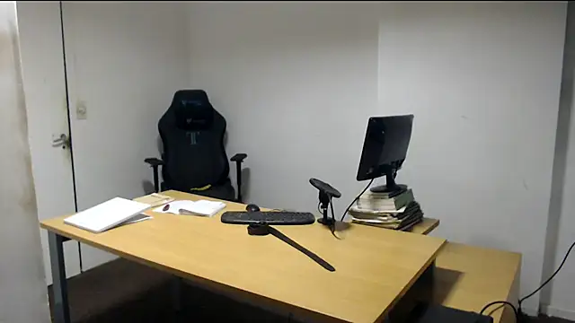 Mastertopdome webcam