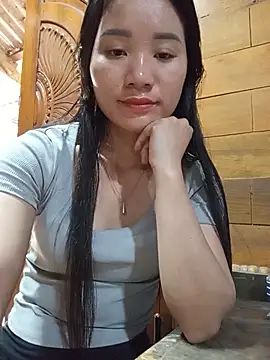 Td3di webcam
