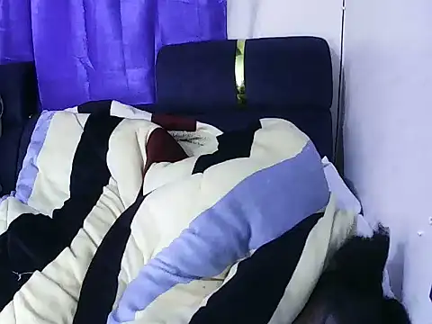 techfel webcam