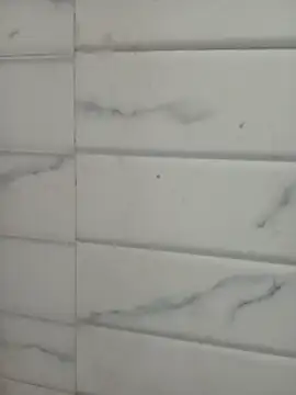 Kittu_Rani25