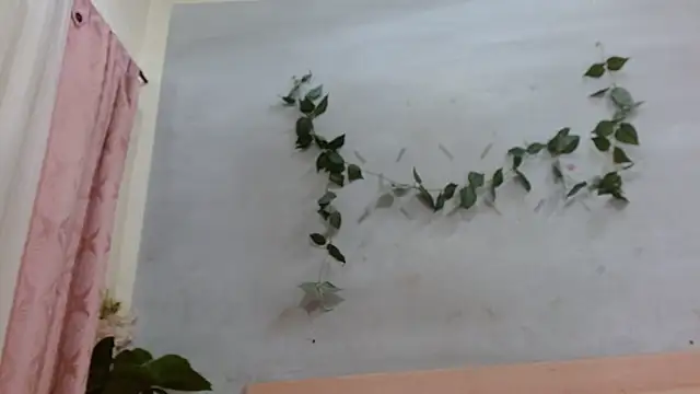 Kylie_Jennerr webcam