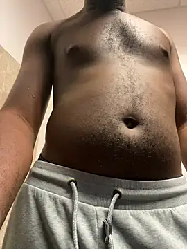 ThickDic28 webcam