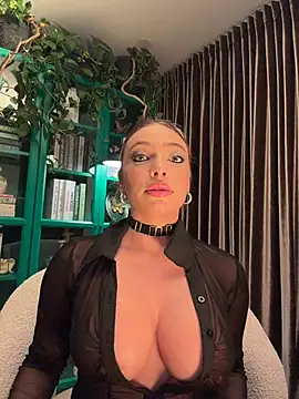 Ginevrafedez webcam