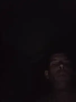 SingingTrunks webcam