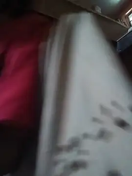sakebabegam87