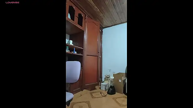 sky_dancers webcam