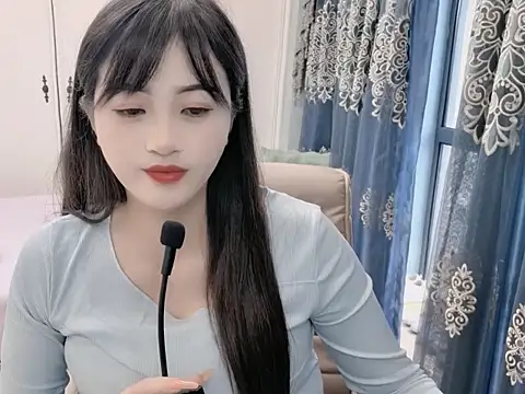 sjsibi webcam