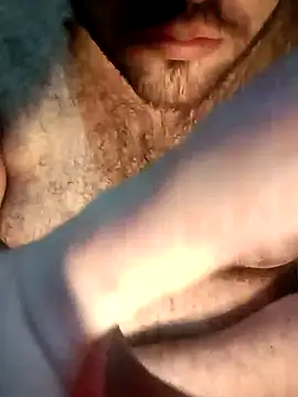 big__bearrr webcam