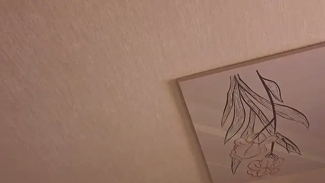 Eva-Devil webcam