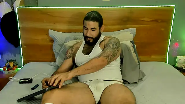 Prometeo-grizzly webcam