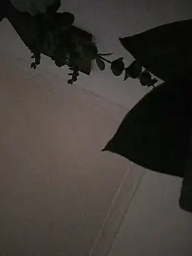 jaysexlat