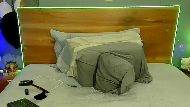 Prometeo-grizzly webcam