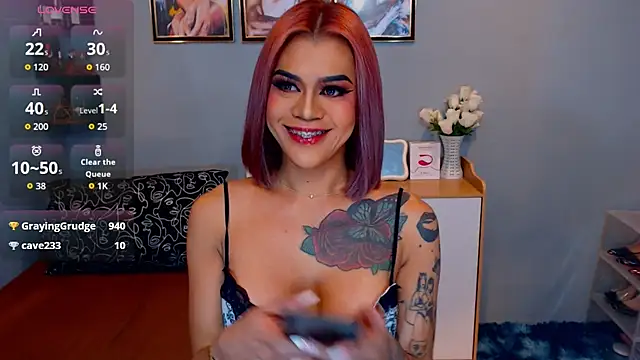 StellaStrong30 webcam