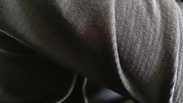 IndienTiger webcam