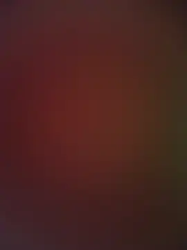 cutecat2ff webcam