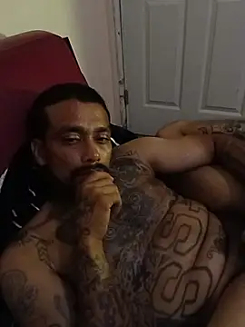 Cnutt310 webcam