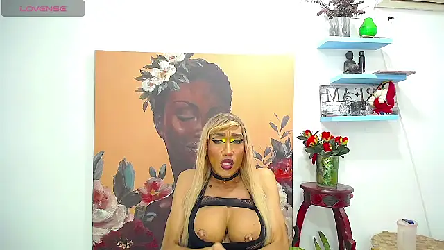 karlaveckyts webcam