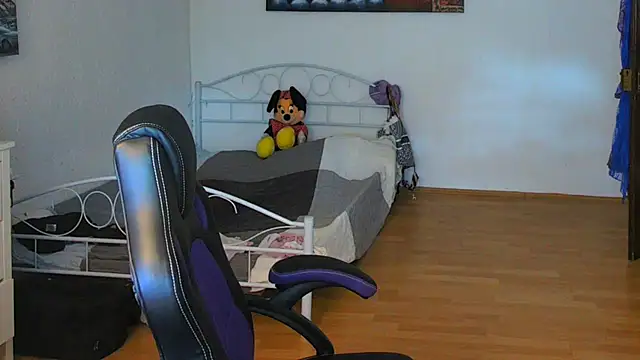 Sylly webcam
