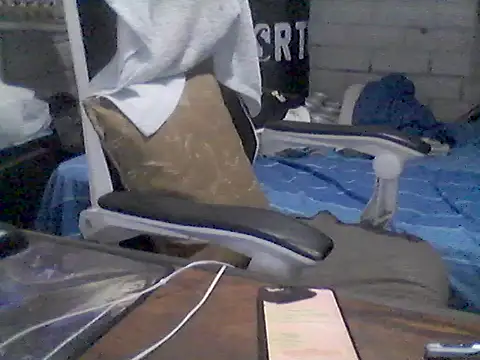 Pollo1924 webcam