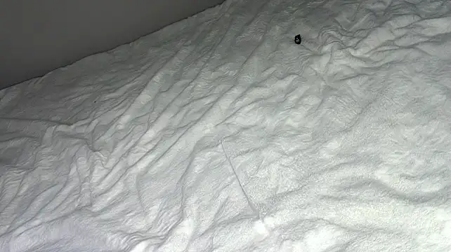 OdetteTrentinella