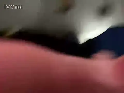 sevenseas99ss webcam