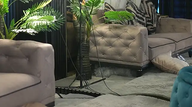 lexira1n webcam
