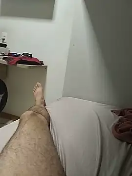 MorbeckDiss webcam