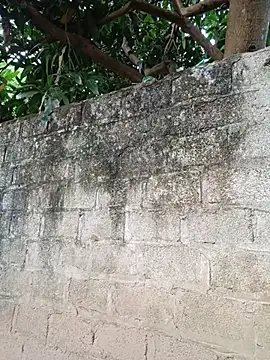 mya_xxx