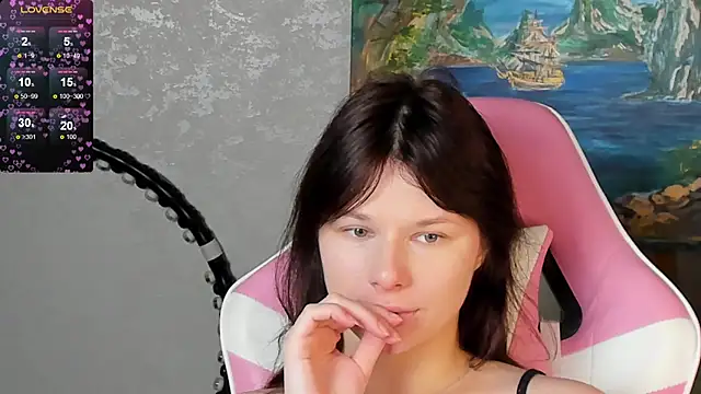 bbJ_one webcam