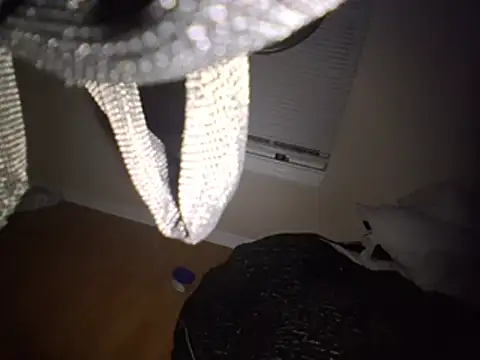 Trapx77301 webcam