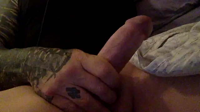 Jlmpollo webcam