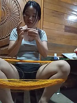 Td3di webcam
