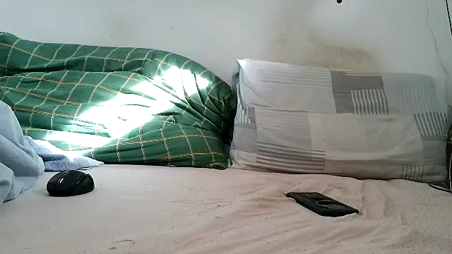 Zozo073 webcam