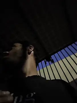 SilentTerr webcam