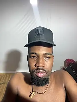 blaze_panther