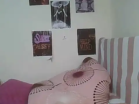 Eira01 webcam