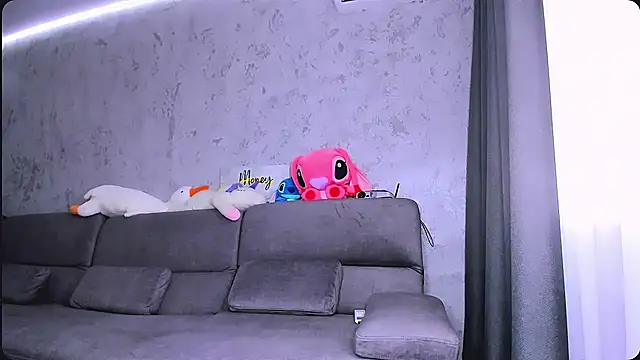 DreameSoul webcam