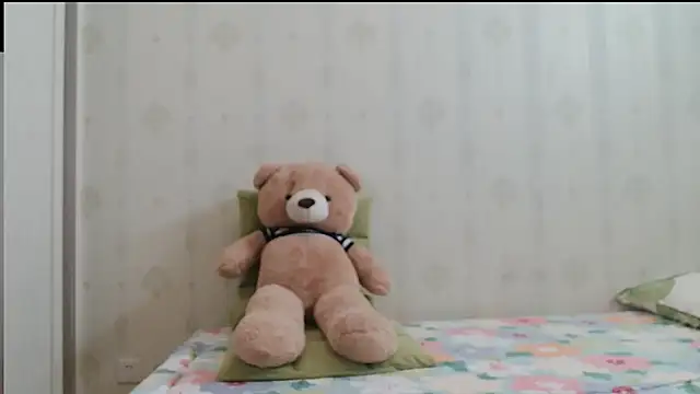 coco-LL webcam