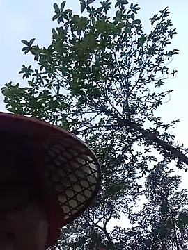 Hazel9z webcam